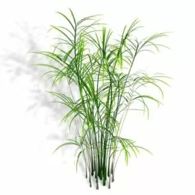 Bamboo Palm Houseplant 3d model