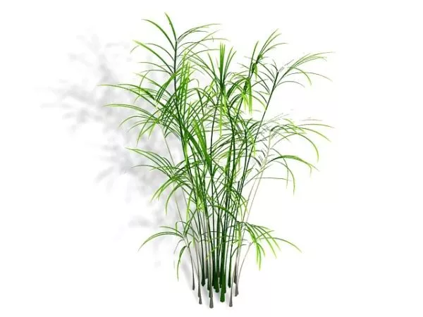 Bamboo Screen Panel 3d model