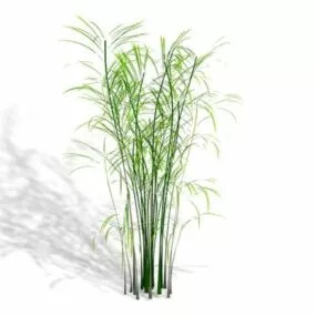 Butterfly Palm House Plant 3d model