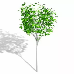 Decorative Ornamental Tree 3d model