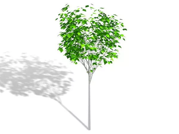 Decorative Ornamental Tree 3d model Decorative Ornamental Tree 3d model