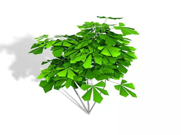 Schefflera Octophylla 3d model Schefflera Octophylla 3d model