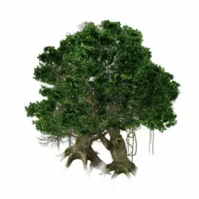 Old Sugar Maple Tree 3d model
