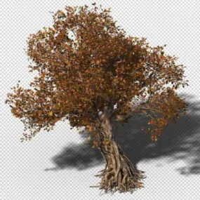 Autumn Tree 3d model