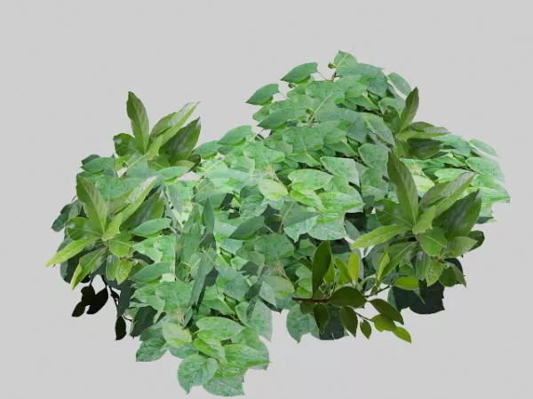 Green Leaves 3d model Green Leaves 3d model