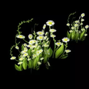 Wildflower 3d model
