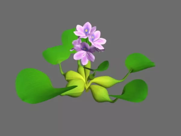 Water Plant With Flowers 3d model Water Plant With Flowers 3d model
