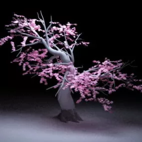 Old Peach Tree 3d model