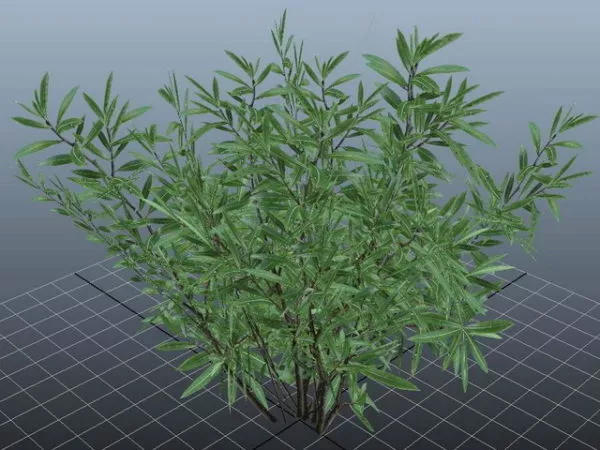 Low Poly Palm Shrub 3d model