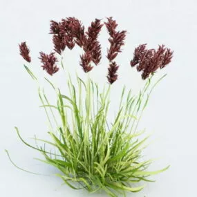 Marsh Reed Plant 3d model
