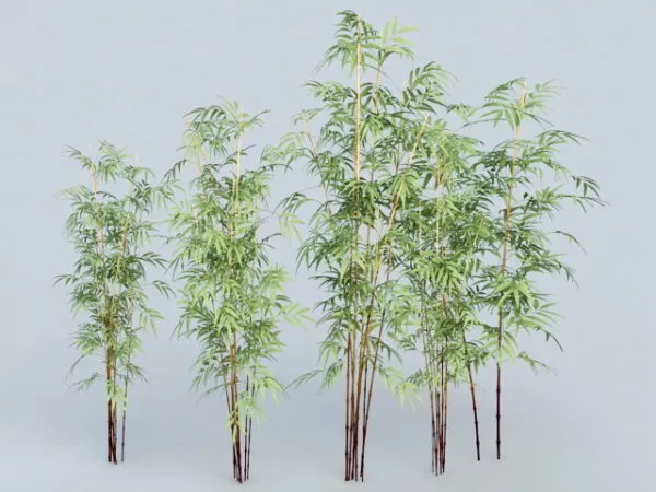 Low Poly Bamboo Plant 3d model