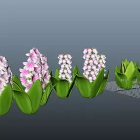 Spring Bulb Hyacinth Flower 3d model