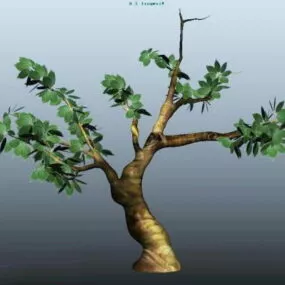 Spring Tree 3d model