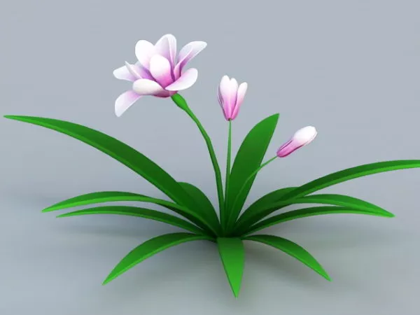 Orchid Plant With Pink Flowers 3d model Orchid Plant With Pink Flowers 3d model