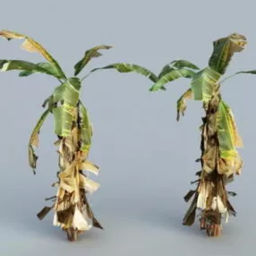 Old Banana Tree 3d model