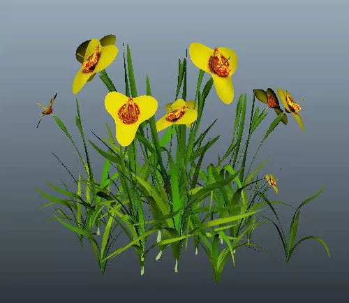 Worn Grass Landscape 3d model