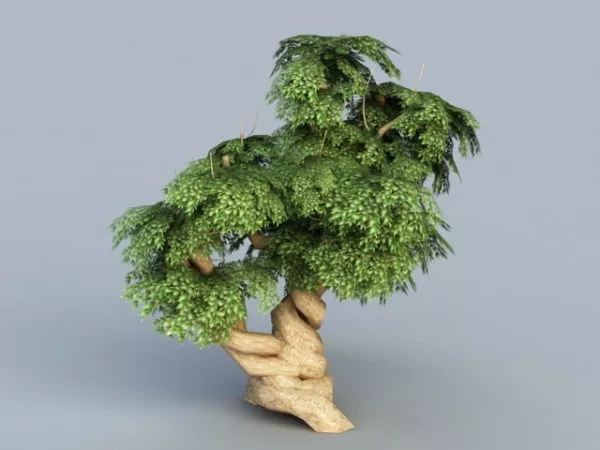 Ancient Tree 3d model Ancient Tree 3d model