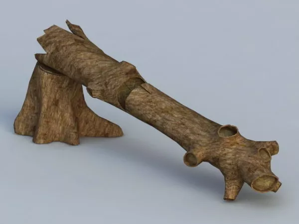 Stump 3d model