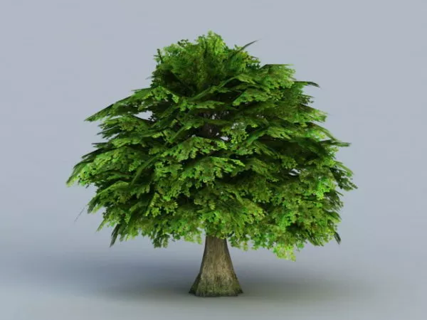 Tree With Leaves 3d model Tree With Leaves 3d model