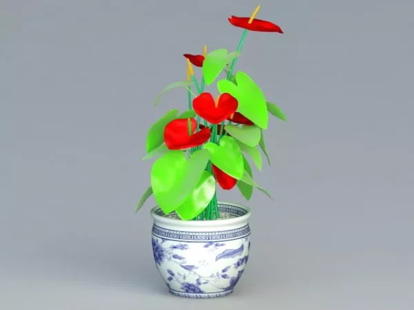 Anthurium Potted Plant 3d model Anthurium Potted Plant 3d model