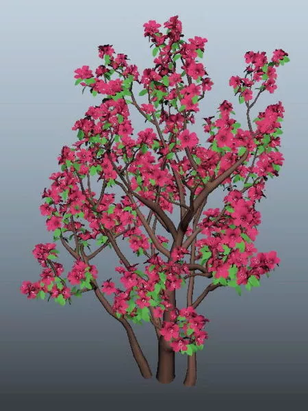 Azalea Tree 3d model Azalea Tree 3d model