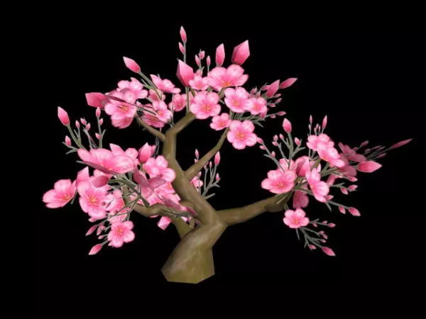 Dwarf Flowering Peach Tree 3d model Dwarf Flowering Peach Tree 3d model