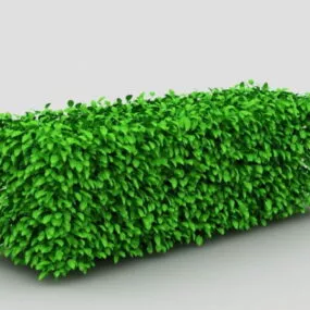 Box Hedge Topiary 3d model