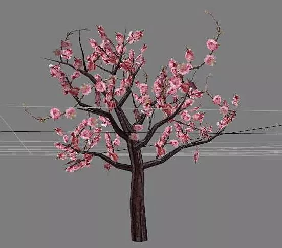 Ornamental Flowering Peach Tree 3d model Ornamental Flowering Peach Tree 3d model