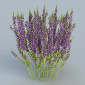 Heather Flower 3d model