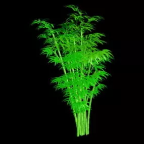 Green Bamboo Plants 3d model