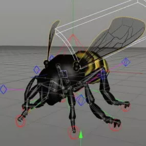 Honey Bee Rig 3d model