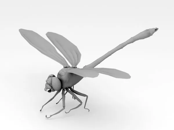 Realistic Yellow Dragonfly 3d model