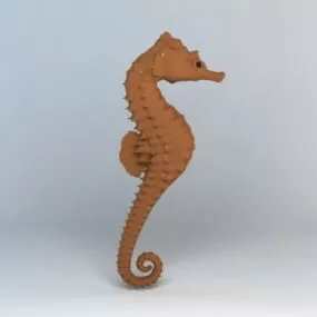 Sea Horse 3d model