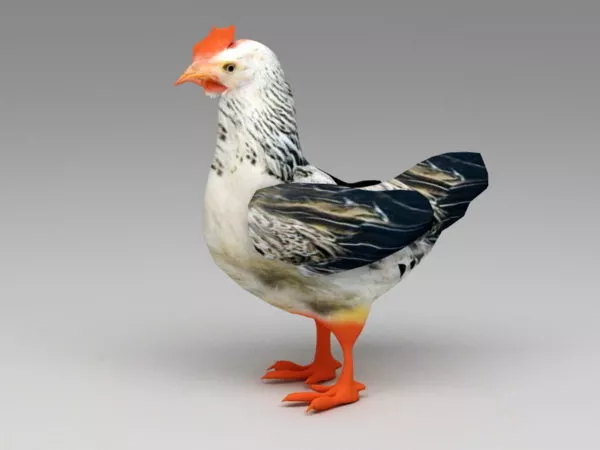 Brahma Hen Rig 3d model Brahma Hen Rig 3d model