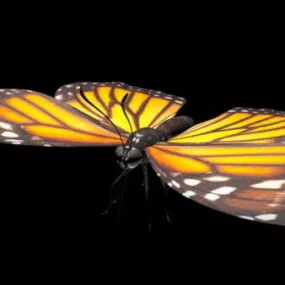 Monarch Butterfly 3d model
