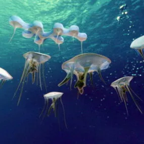 Underwater Jellyfish 3d model