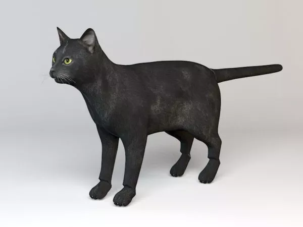 Black Cat Rig 3d model Black Cat Rig 3d model
