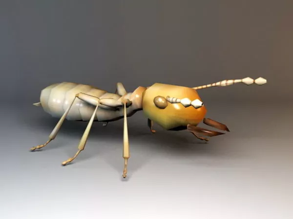 Red Ant Insect 3d model