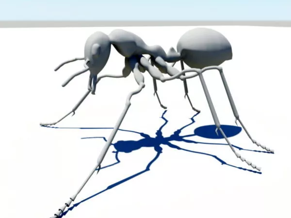 Ant Character 3d model