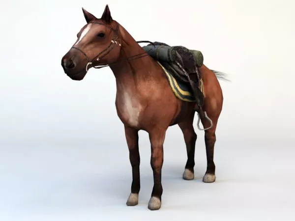 Horse With Saddle 3d model Horse With Saddle 3d model
