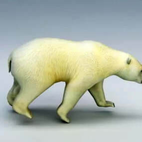 Polar Bear 3d model