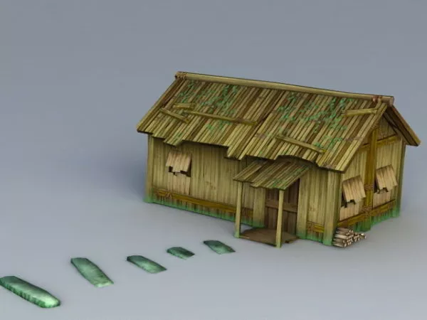 Vintage Thatch 3d model