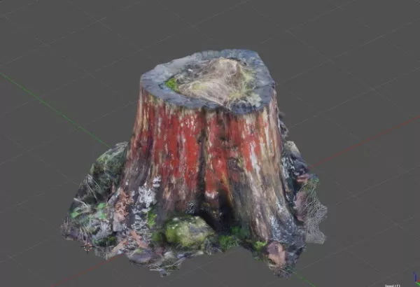 Old Tree Stump 3d model Old Tree Stump 3d model