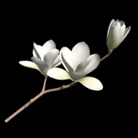 Tree Branch With Flowers 3d model