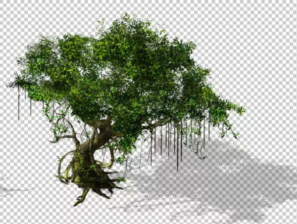 Old Banyan Tree 3d model Old Banyan Tree 3d model