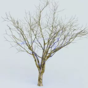 Tree Wrap Lights 3d model