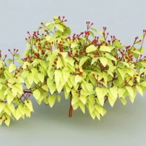 Red Berry Bushes 3d model