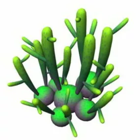 Coral Jade Succulent 3d model