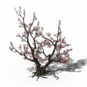 Peach Tree Blossoms 3d model
