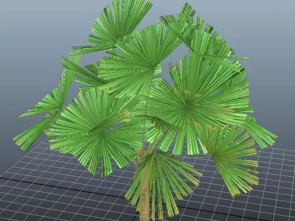 Mangrove Fan Palm 3d model Mangrove Fan Palm 3d model